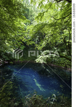 奧伊克（佐迪湖）4 16888099