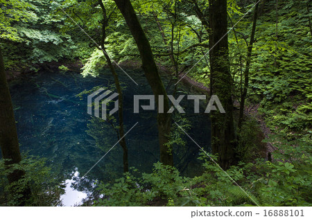 Aoike (Zuiji) 6 Aoike (Zuiji) 6 16888101