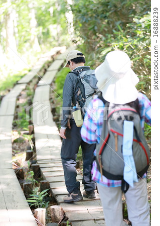 徒步中年高級 徒步中年高級 16888239