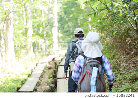 Trekking middle senior Trekking middle senior 16888241