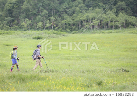 Trekking youth student 16888298