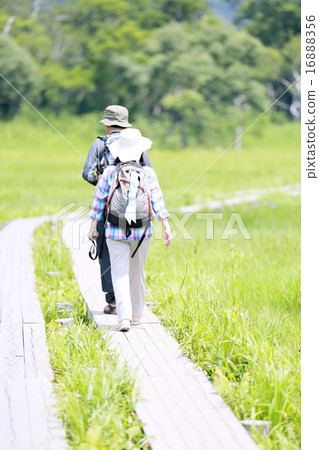 Trekking middle senior 16888356