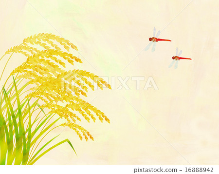 米耳朵和紅蜻蜓 米耳朵和紅蜻蜓 16888942