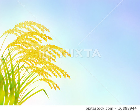 Inaho和秋天的天空 Inaho和秋天的天空 16888944