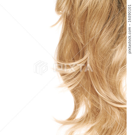 Hair fragment over the white 16890101