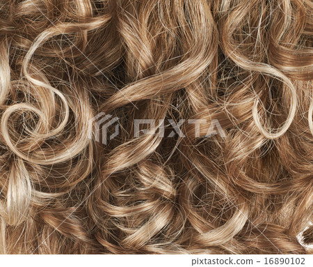 Hair fragment as a background composition 16890102