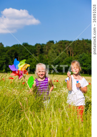 Two children in summer field playing 16891028