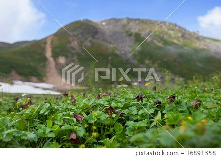 Croyurei Norikura花園 16891358