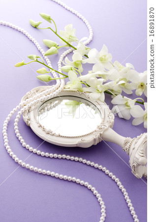 Women's Accessories 16891870