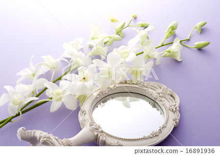 Women's Accessories 16891936