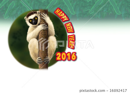 New Year cards 2016 Bellow Sifaka hugging the tree trunk New Year cards 2016 Bellow Sifaka hugging the tree trunk 16892417
