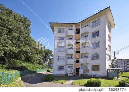 House house Star house House house Star house 16892774