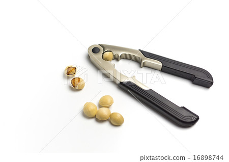 Ingredients Ginjin and Walnut divider 16898744