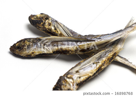 Food chopsticks bamboo grove baked dried 16898768