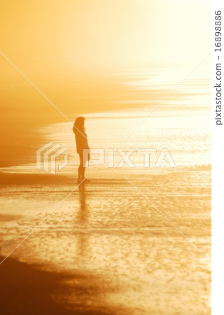 Shine in Chaoyang Shine in Chaoyang 16898886