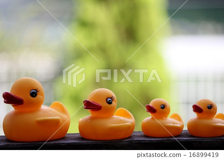 Duck toys Duck toys 16899419