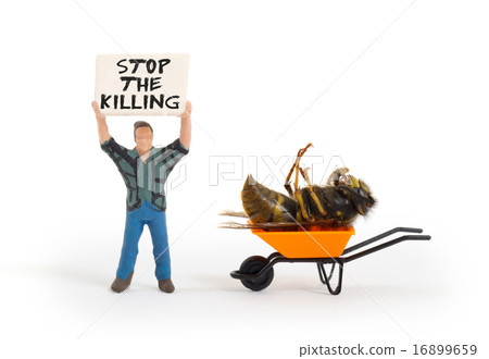 Dead wasp in a miniature wheelbarrow 16899659