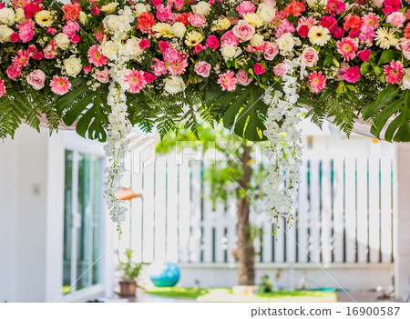 Beautiful in Wedding ceremony Beautiful in Wedding ceremony 16900587