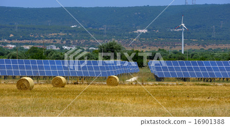 countryside apulia, Eolic turbine and solar panels 16901388