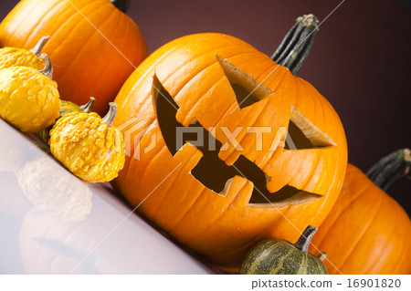 Pumpkins for Halloween, bright colorful vivid theme 16901820