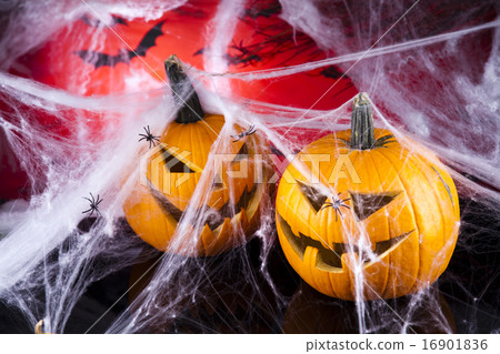 Halloween pumpkin Jack, spider net 16901836
