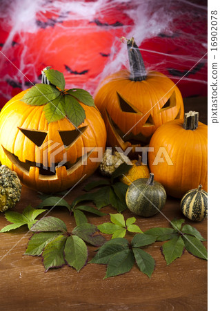 Halloween pumpkins in the Grass Bats Halloween pumpkins in the Grass Bats 16902078