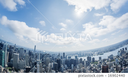 New York New York 16902440