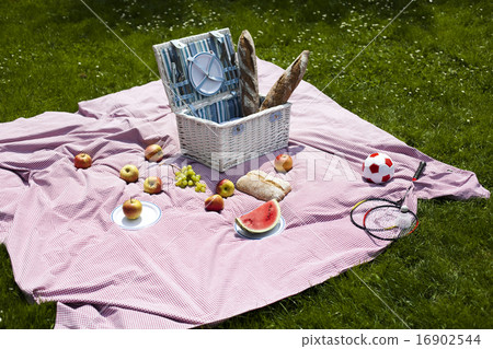 Picnic on the grass, springtime colorful  16902544