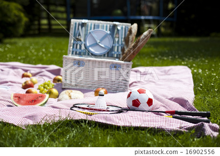 Picnic on the grass, springtime colorful  16902556