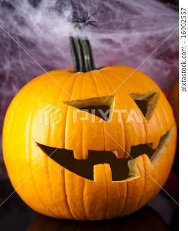 Halloween background with net and spider,pumpkin Halloween background with net and spider,pumpkin 16902557