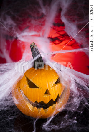 Halloween background with net and spider,pumpkin Halloween background with net and spider,pumpkin 16902681