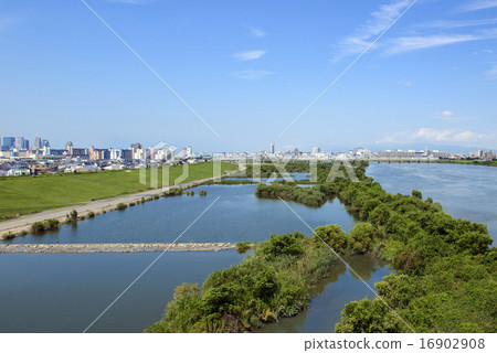 Yodogawa Wand 16902908