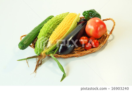 Summer vegetable Summer vegetable 16903240