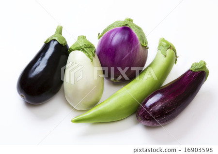 5 kinds of unusual eggplants 16903598