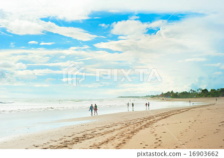 Walking on a tropical beach 16903662
