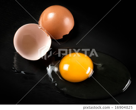 Raw Egg with Shell on Black Shale 16904825