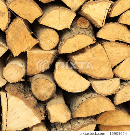 Closeup of firewood as background texture 16905654