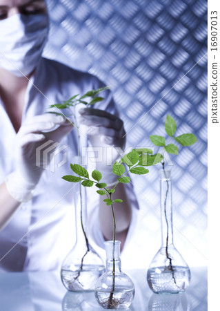 Laboratory glassware equipment, Experimental plant Laboratory glassware equipment, Experimental plant 16907013