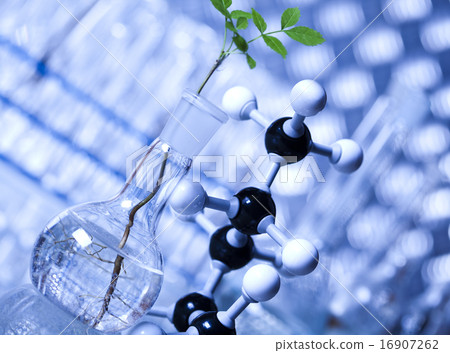 Plant in a test tube in hands of the scientist Plant in a test tube in hands of the scientist 16907262