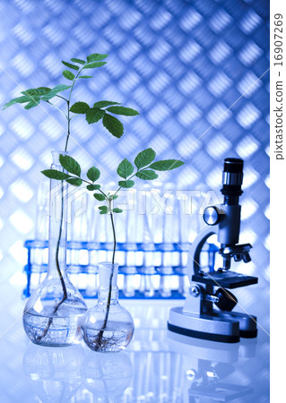Laboratory, bio organic modern concept Laboratory, bio organic modern concept 16907269
