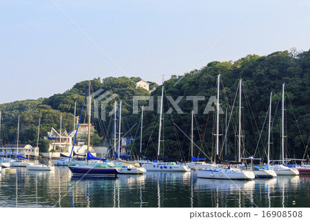 小和灣的夏天 小和灣的夏天 16908508