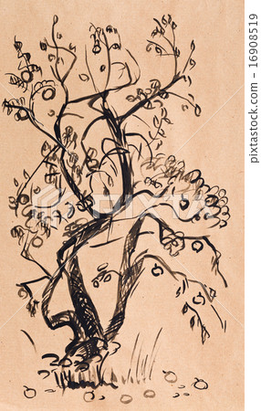 Scetch Scetch 16908519