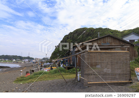 Wada Nagahama Summer 16909297