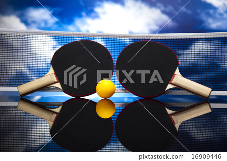 Assorted sports equipment, vivid colorful theme 16909446