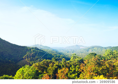 Beautiful Tropic Landscape Beautiful Tropic Landscape 16909586
