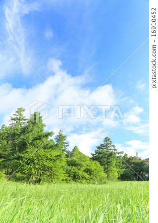 Grassland and blue sky (background material) 16910452