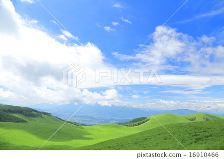 Grassland and blue sky (background material) 16910466