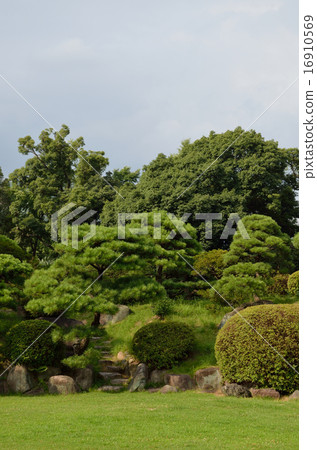 花園綠 花園綠 16910569