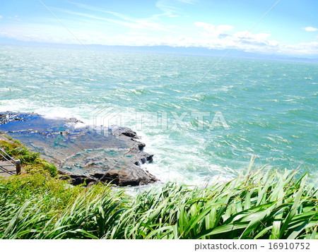 Wind Wind 16910752