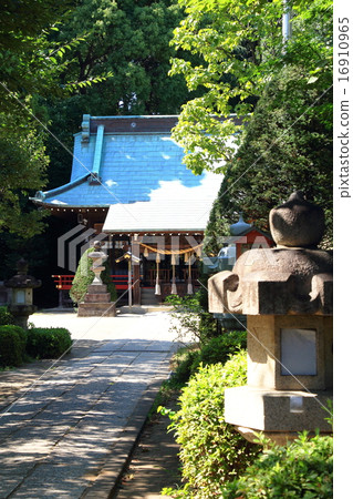 Nagumiya Hikawa Shrine Nagumiya Hikawa Shrine 16910965